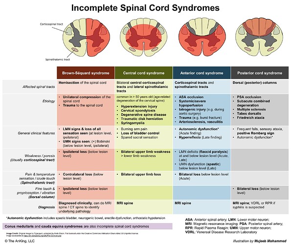 spinal cord syndromes