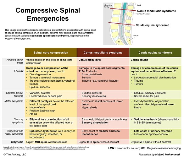 compressive spinal