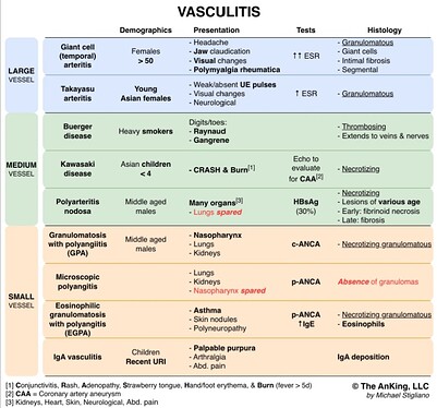 CleanShot 2024-02-12 at 17.29.49