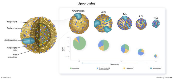 Lipoproteins