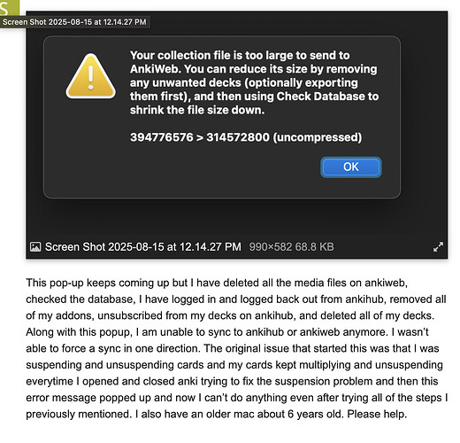 Screen Shot 2025-08-16 at 6.52.56 PM