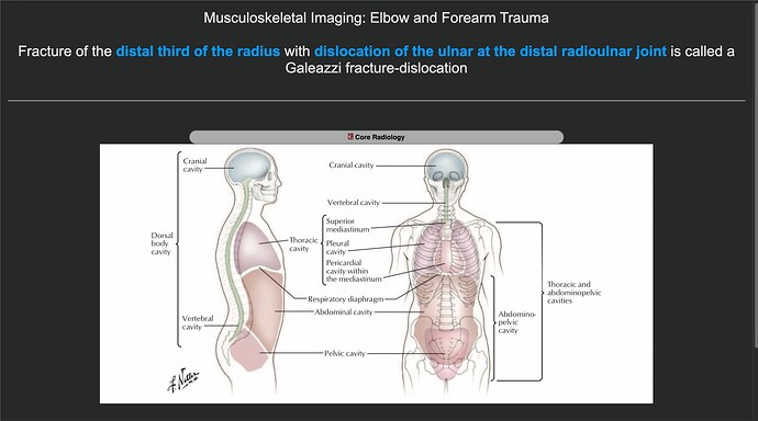 Screenshot 2025-06-18 at 10.10.09 PM