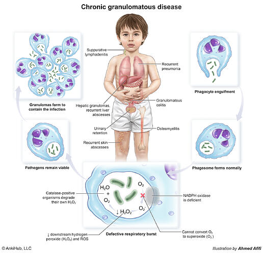 Chronic granulomatous disease