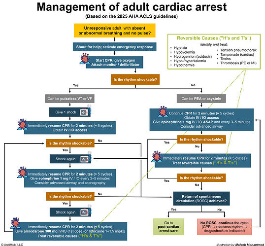 ACLS cardiac arrest