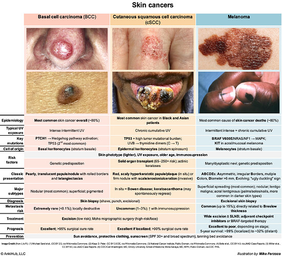 Skin-cancers (2)