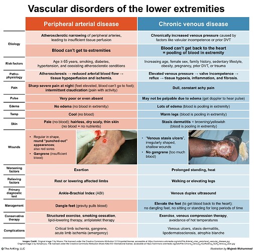 The image compares peripheral arterial disease and chronic venous disease of the lower extremities, detailing their etiology, risk factors, symptoms, management, and complications. (Captioned by AI)