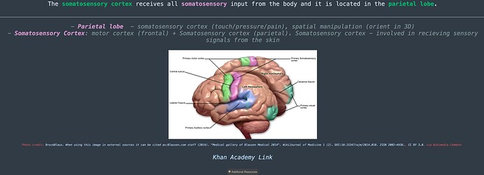Screenshot 2025-01-24 at 10.05.57 AM