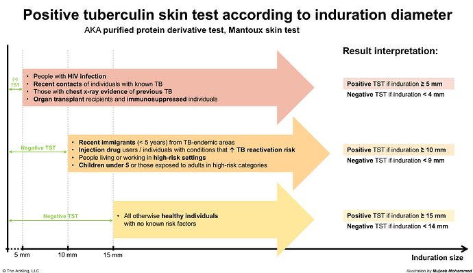 This image explains the interpretation of a positive tuberculin skin test according to induration size, specifying different risk groups and their corresponding cutoff values for positive and negative results. (Captioned by AI)
