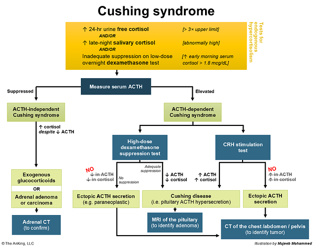 cushing syndrome 2