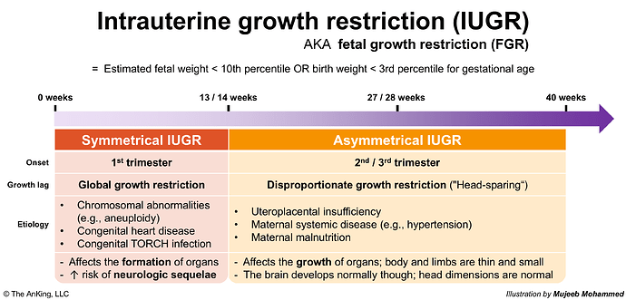 The image explains intrauterine growth restriction (IUGR), comparing symmetrical and asymmetrical IUGR in terms of onset, growth lag, and etiology, illustrating differences in impact on fetal development. (Captioned by AI)