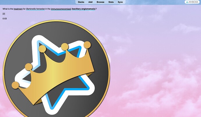 Screenshot 2024-06-11 at 14.05.37