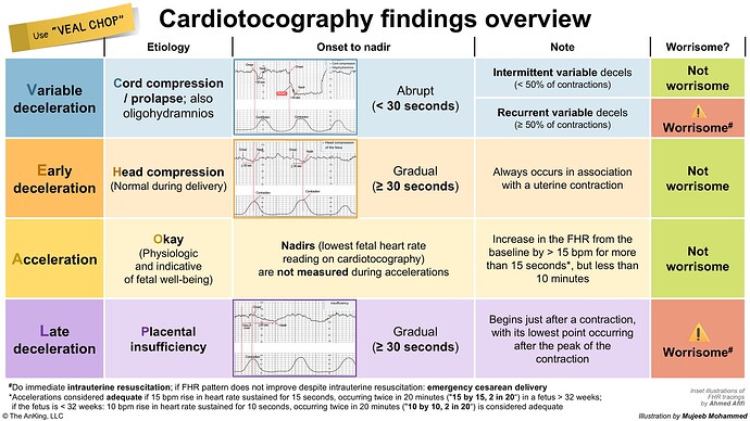This image provides an overview of cardiotocography findings, categorized by etiology, onset to nadir, notes on the patterns, and whether each finding is considered worrisome, using the mnemonic "VEAL CHOP." (Captioned by AI)