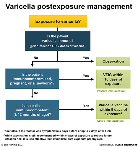 varicella exposure
