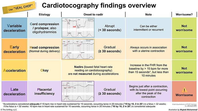 This image provides an overview of cardiotocography findings, detailing the etiology, onset, notes, and worry levels of variable, early, and late decelerations, as well as accelerations. (Captioned by AI)