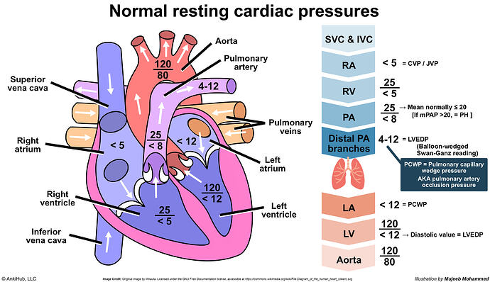 Cardiac pressures