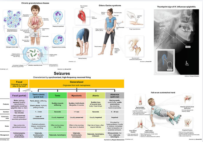 image-1774016068014-urz5nbvdl