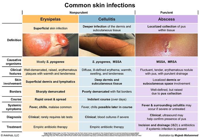 Common skin infections