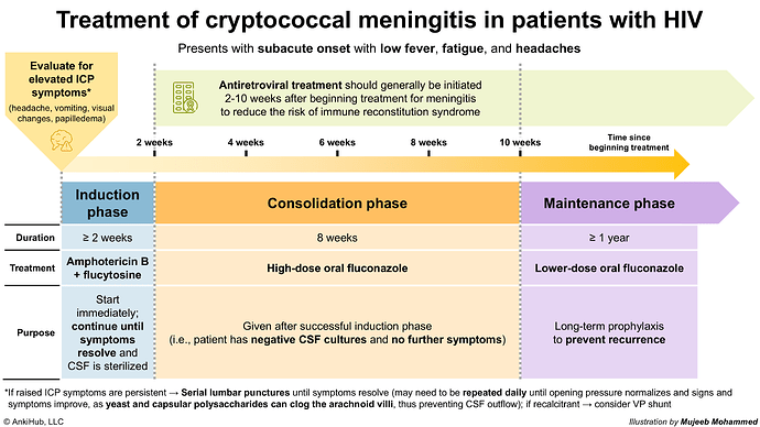 Cryptococcal meningitis in HIV pts