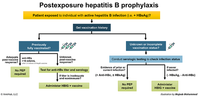 Hep B prophylaxis