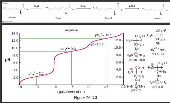 Screenshot 2025-08-02 at 11.33.00 AM