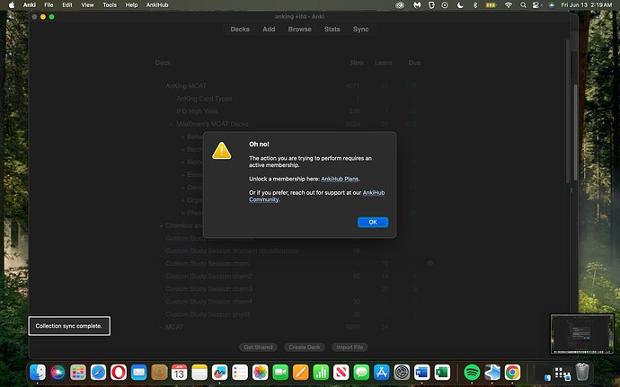 Screenshot 2025-06-13 at 2.19.33 AM