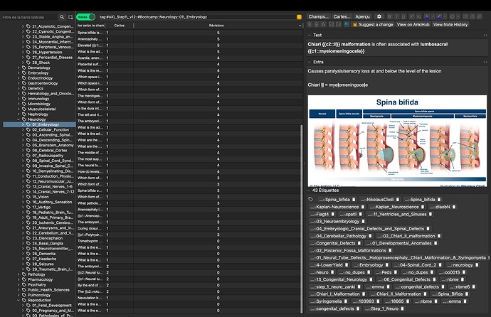 Screenshot 2025-03-24 at 3.07.20 PM