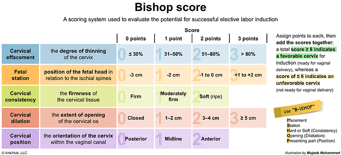 Bishop score