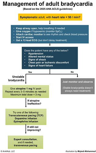 ACLS bradycardia