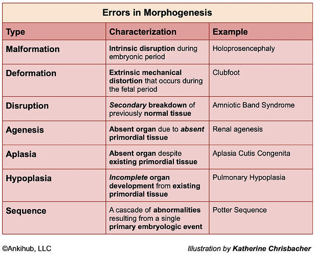 errorsinmorphogenesis