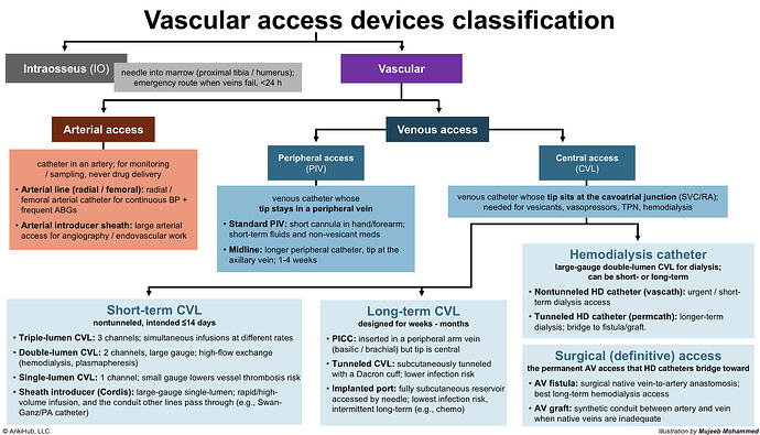 Vascular access devices