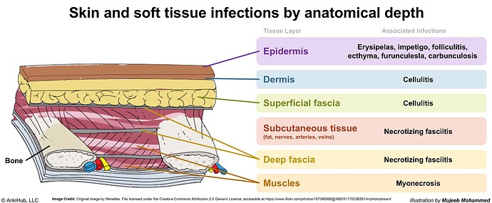 Infections by anatomical depth