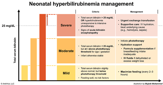 Neonatal hyperbilirubinemia