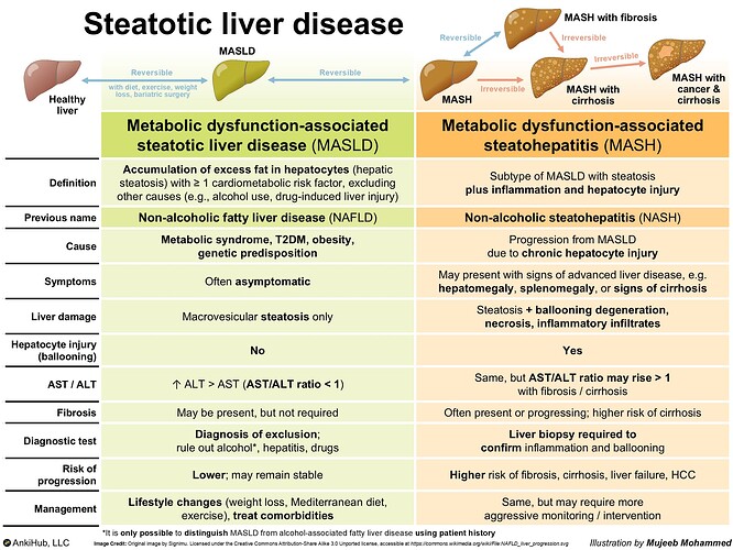 Steatotic liver disease