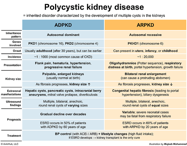 Polycystic kidney disease