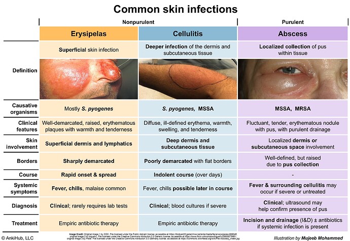 Common skin infections