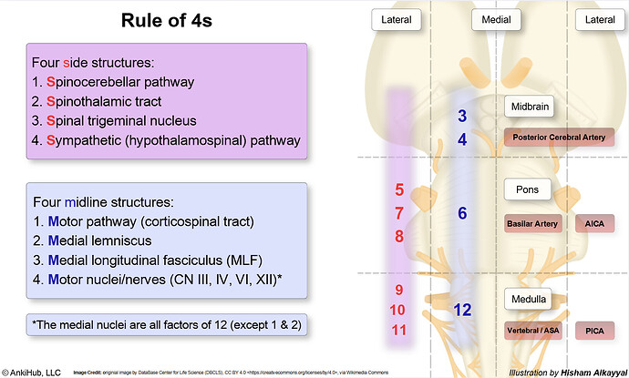 image (4)