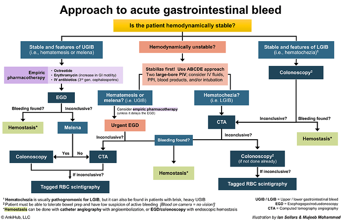 The image is a flowchart outlining the diagnostic and treatment approach to acute gastrointestinal bleeding, based on the patient's hemodynamic stability and type of bleeding. (Captioned by AI)