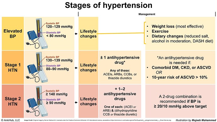 The image illustrates the stages of hypertension, including elevated blood pressure, Stage 1 and Stage 2 hypertension, along with their respective management strategies such as lifestyle changes and potential use of antihypertensive drugs. (Captioned by AI)