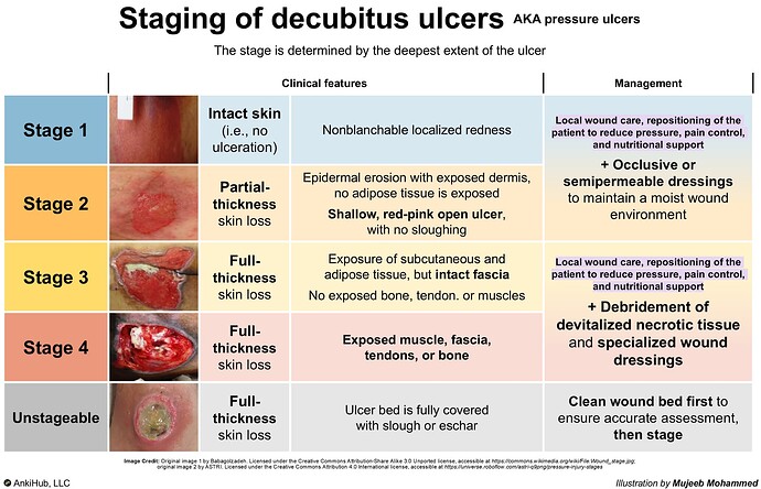 Staging of decubitus ulcers