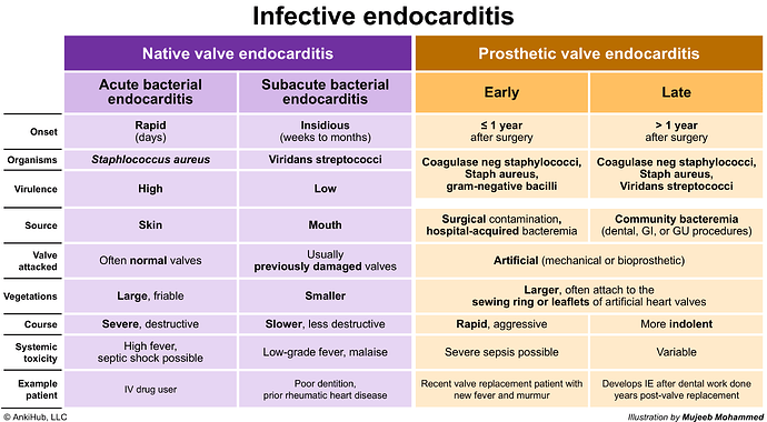Infective endocarditis