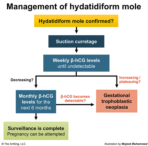 Hydatidiform mole management