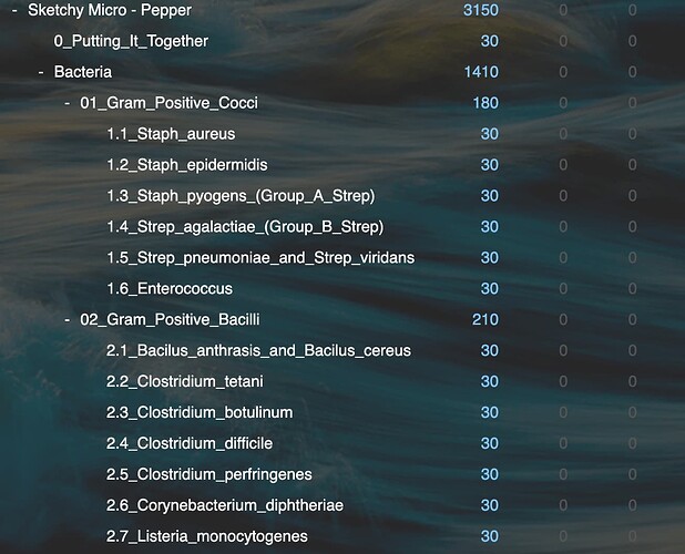 Screenshot 2025-08-25 at 3.08.40 PM