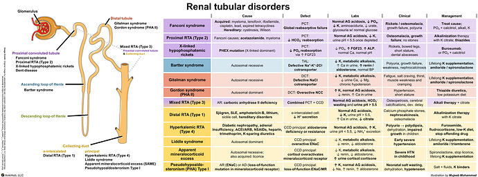 Renal tubular disorders