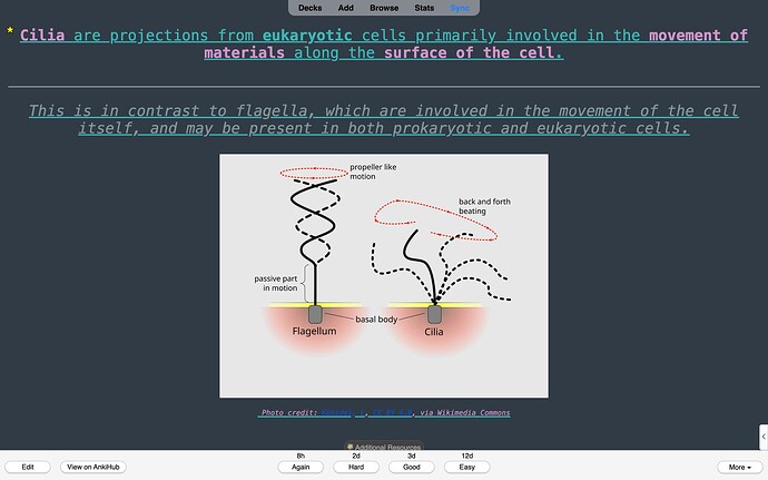 Screenshot 2025-08-22 at 6.07.09 PM