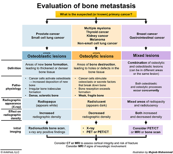 The image is a flowchart illustrating the evaluation of bone metastasis based on the type of primary cancer, detailing osteoblastic, osteolytic, and mixed lesions with definitions, pathophysiology, radiographic appearance, and suggested initial imaging techniques. (Captioned by AI)