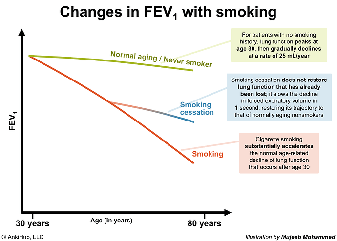 Changes in FEV1 with smoking