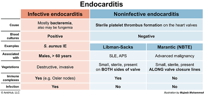 Endocarditis