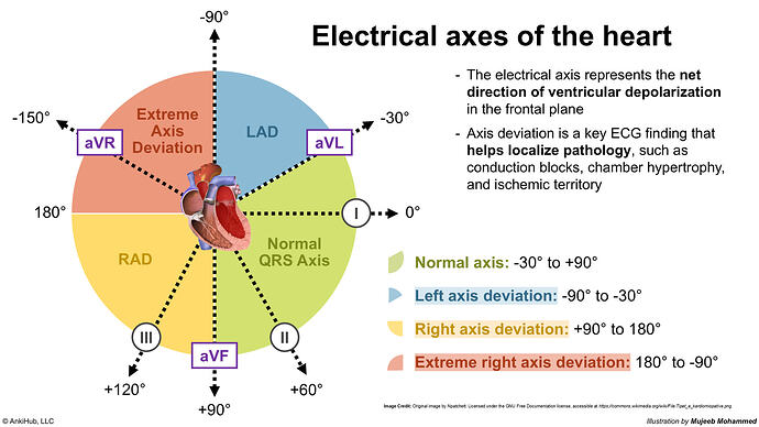 Electrical axes of the heart